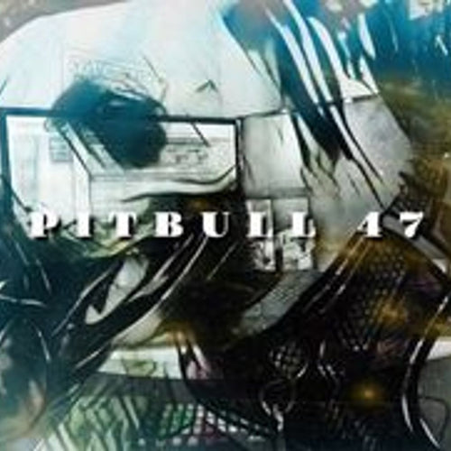 PIT BULL 47