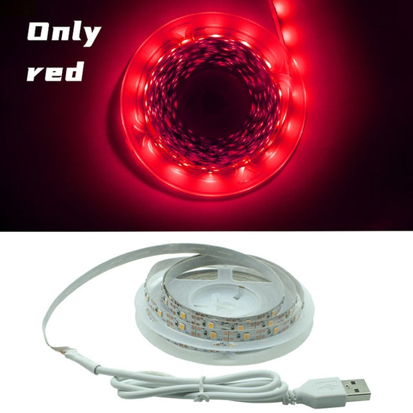 LED Strip Light Flexible Lamp